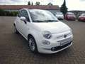 Fiat 500C 0.9 8V TwinAir Lounge NAV/DAB/Klimaautomatik Білий - thumbnail 4