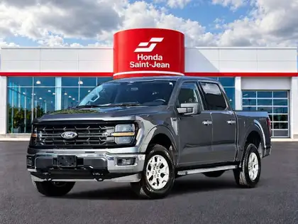 Gray 2025 Ford F-150 Pickup Truck Four-Wheel Drive Automatic