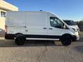Ford Transit 350 2.0 tdci MHEV 130cv trend L2H2 E6.2 Blanc - thumbnail 2
