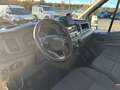 Ford Transit 350 2.0 tdci MHEV 130cv trend L2H2 E6.2 Blanc - thumbnail 7