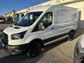 Ford Transit 350 2.0 tdci MHEV 130cv trend L2H2 E6.2 Blanc - thumbnail 5