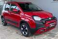 Fiat Panda Panda 1.0 firefly hybrid Cross s&s 70cv 5p.ti Rouge - thumbnail 7