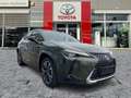 Lexus UX 300e UX 300h Luxury Line HUD*Navi*MarkLevinson Groen - thumbnail 7