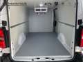 Fiat Scudo Kasten Pharmaausbau L3 Blanc - thumbnail 8