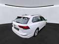 Volkswagen Golf VIII Variant Life*NAVI*LED*16 ZOLL*ACC*LANE Weiß - thumbnail 3