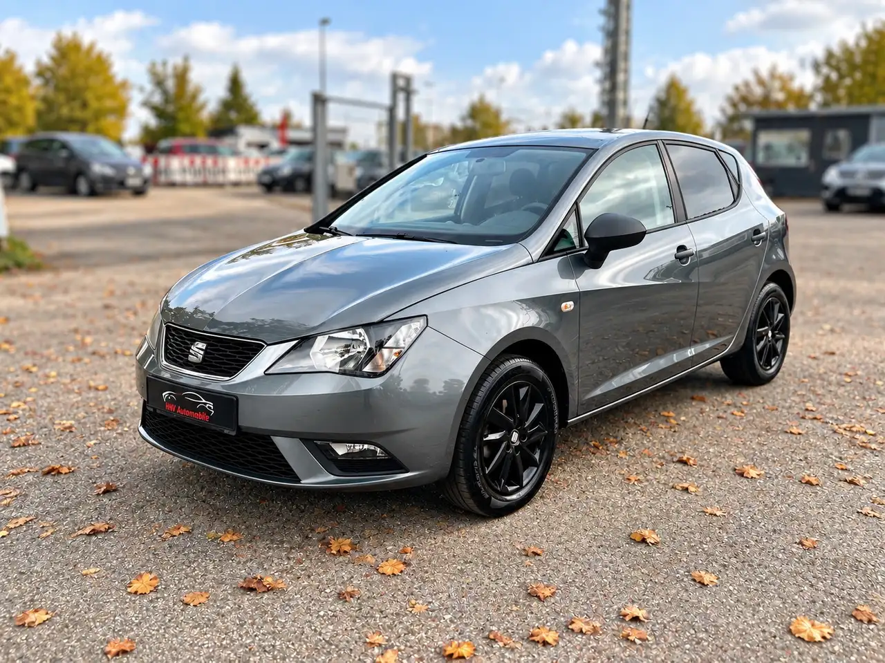 Seat Ibiza