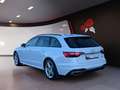 Audi A4 Avant 40 2.0 TDI quattro adv. Navi RFK ACC LED Blanco - thumbnail 4