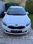 Kia Ceed SW / cee'd SW cee'd SW 1,6 CRDi Silber Silber Weiß - thumbnail 11