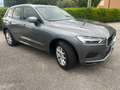 Volvo XC60 XC60 2.0 d4 Momentum auto my20 Bellissima!!! Grau - thumbnail 6