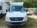 Mercedes-Benz Sprinter II Koffer 316*THERMO*V500*TIEFKÜHLER* Blanc - thumbnail 2