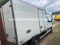 Mercedes-Benz Sprinter II Koffer 316*THERMO*V500*TIEFKÜHLER* Blanc - thumbnail 4