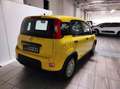 Fiat Panda 3ª serie - Panda 1.0 FireFly S&S Hybrid Giallo - thumbnail 3