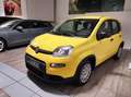 Fiat Panda 3ª serie - Panda 1.0 FireFly S&S Hybrid Giallo - thumbnail 2