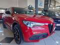 Alfa Romeo Stelvio Stelvio 2.2 TD Super Q4 190cv auto my19 Rosso - thumbnail 1