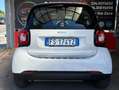 smart forTwo Fortwo 1.0 Passion 71cv twinamic my18 - GARANZIA Blanc - thumbnail 11