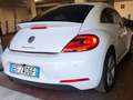 Volkswagen Maggiolino Maggiolino 2011 1.4 tsi Sport 160cv Biały - thumbnail 8