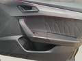 SEAT Leon VZ CUP Grau - thumbnail 15
