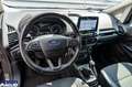 Ford EcoSport EcoSport 1.0 ecoboost Titanium s&s 125cv my20.25 - thumbnail 5