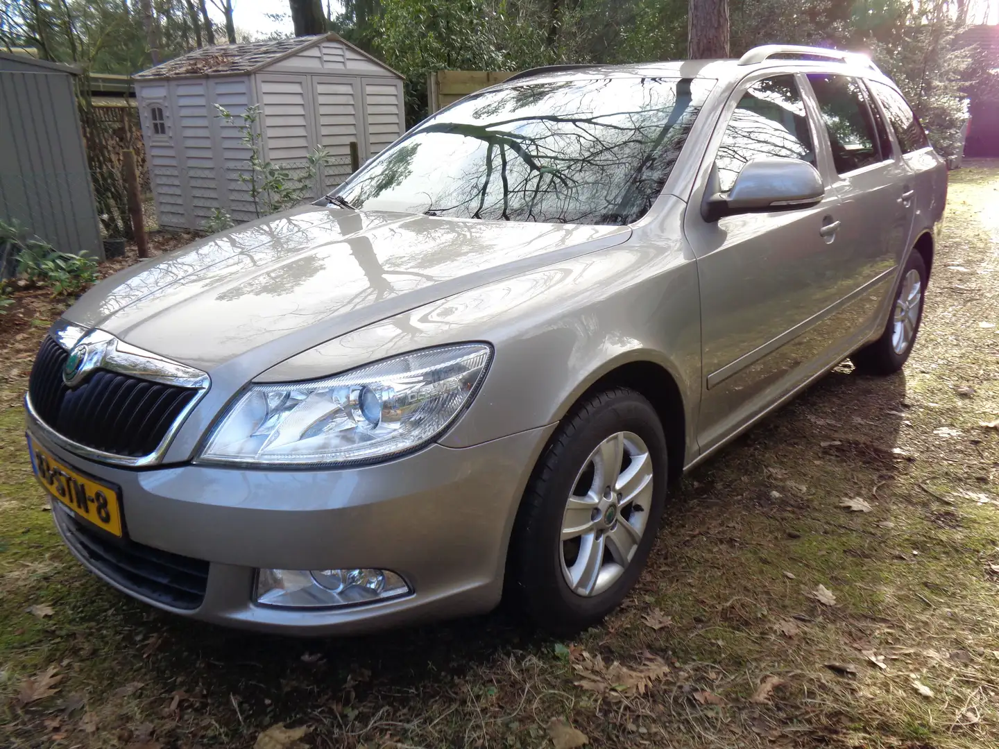 Skoda Octavia 1.2 TSI Ambition Bns Zilver - 2