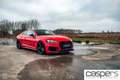 Audi RS5 2.9 TFSI quattro Kırmızı - thumbnail 2
