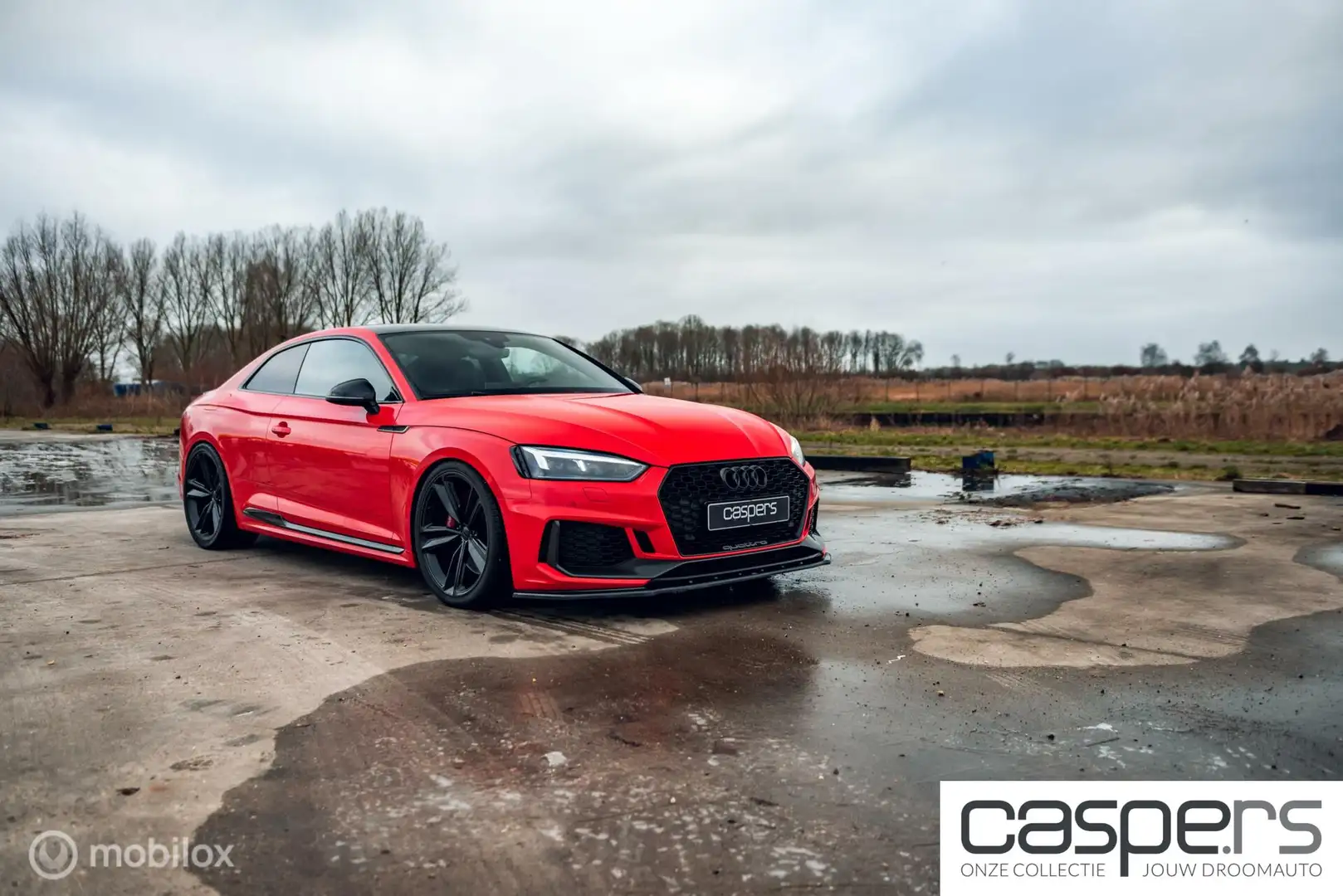Audi RS5 2.9 TFSI quattro Rojo - 2