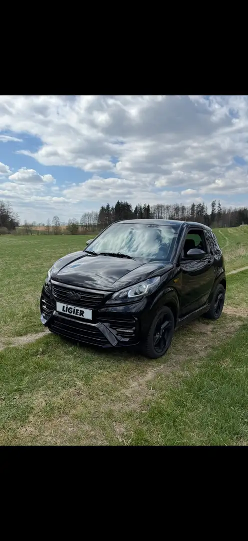 Ligier JS 50 Schwarz - 1