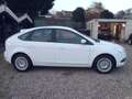 Ford Focus 1.8 Titanium - Airco - Navigatie Blanc - thumbnail 7