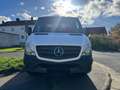 Mercedes-Benz Sprinter II Kasten 311 CDI L2H1 KLIMA TÜV Blanc - thumbnail 2