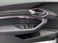 Audi e-tron 50 S line quattro Matrix AHK Ka Black - thumbnail 13