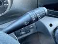 Iveco Daily 35S14GV 395 H2 CNG CRUISE CONTROL ELEKTRISCHE RAME Weiß - thumbnail 17