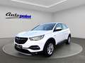 Opel Grandland X 1.5 CDTI LED Kamera Automatik Weiß - thumbnail 11
