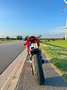 Ducati Panigale V2 Rojo - thumbnail 6