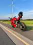 Ducati Panigale V2 Rojo - thumbnail 4