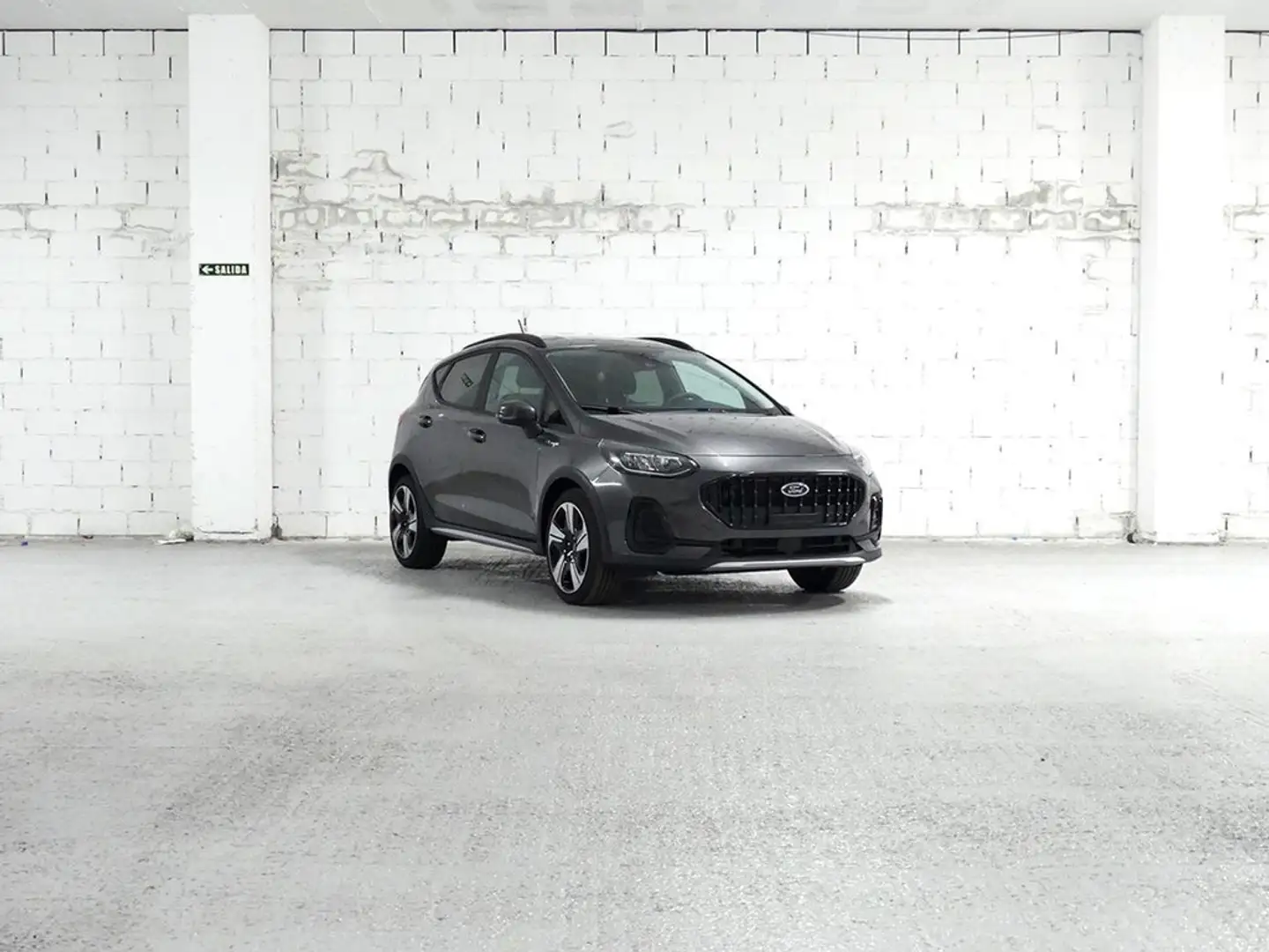 Ford Fiesta 1.0 ECOBOOST MHEV 92KW ACTIVE 125 5P Gris - 2