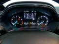 Ford Fiesta 1.0 ECOBOOST MHEV 92KW ACTIVE 125 5P Gris - thumbnail 20