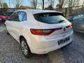 Renault Megane Megane 1.5 dCi / Euro 6B Bianco - thumbnail 4