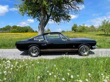 Fastback Hertz Edition Clone Top