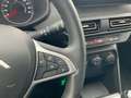 Dacia Sandero III Stepway*Kamera*GJR*LED*AHZV*APP Blau - thumbnail 19