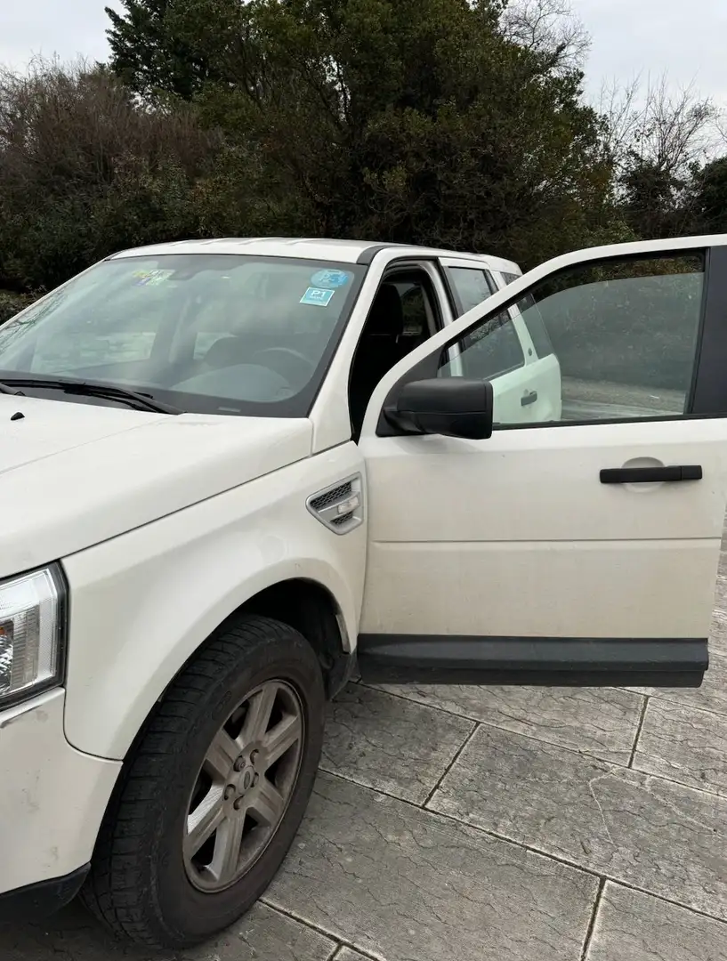 Land Rover Freelander Freelander 2 Bianco - 2