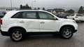 Kia Sorento 2,2 CRDi Active DPF 4WD Aut. Weiß - thumbnail 7