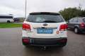 Kia Sorento 2,2 CRDi Active DPF 4WD Aut. Weiß - thumbnail 5