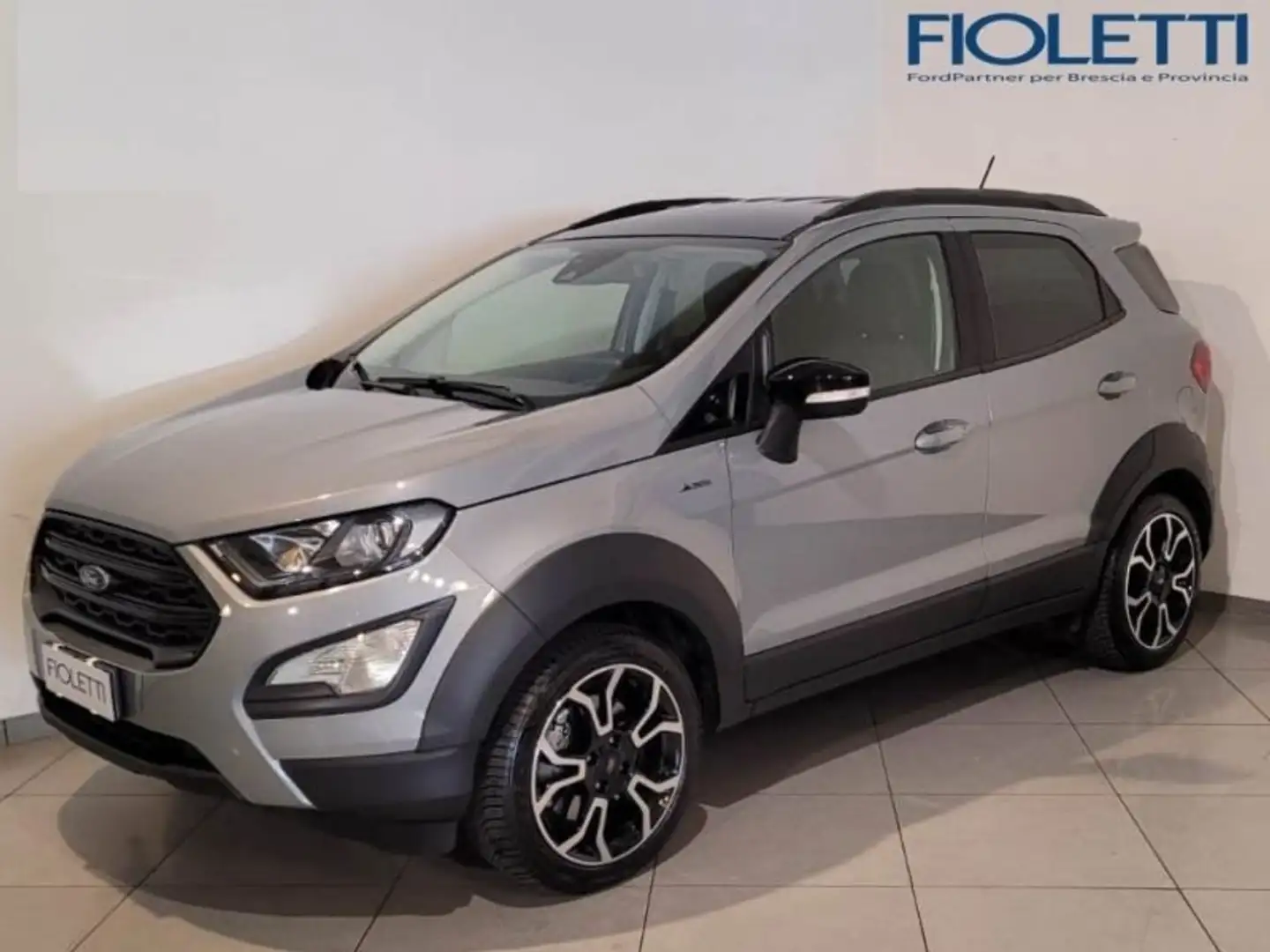 Ford EcoSport 1.0 ECOBOOST 125 CV START&STOP ACTIVE Argento - 1