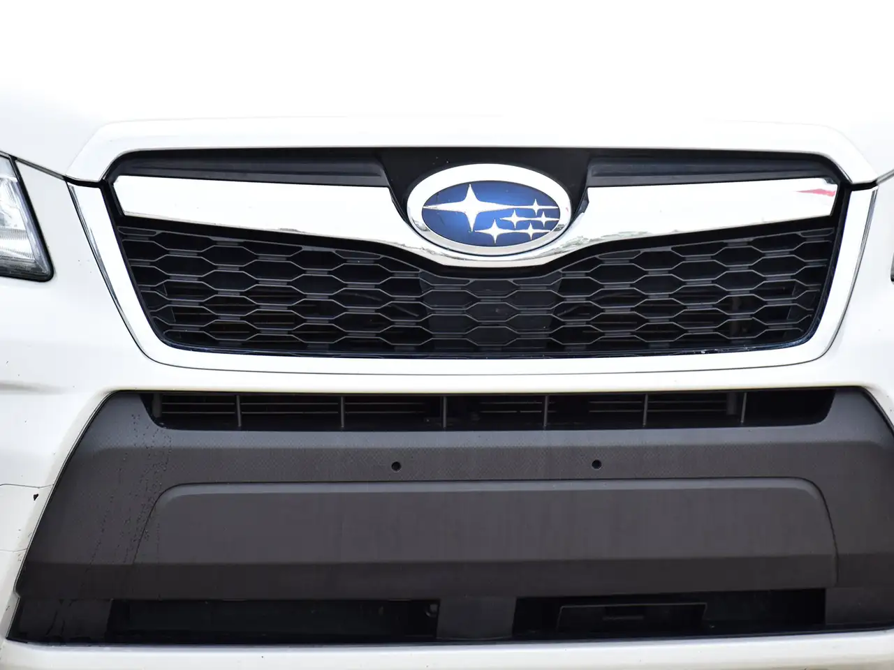 Subaru Forester fotografie Subaru Forester