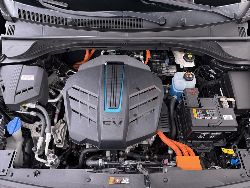 Kia e-Niro ExecutiveLine 64kWh SOH 100% Warmtepomp Panoramada — photo 47