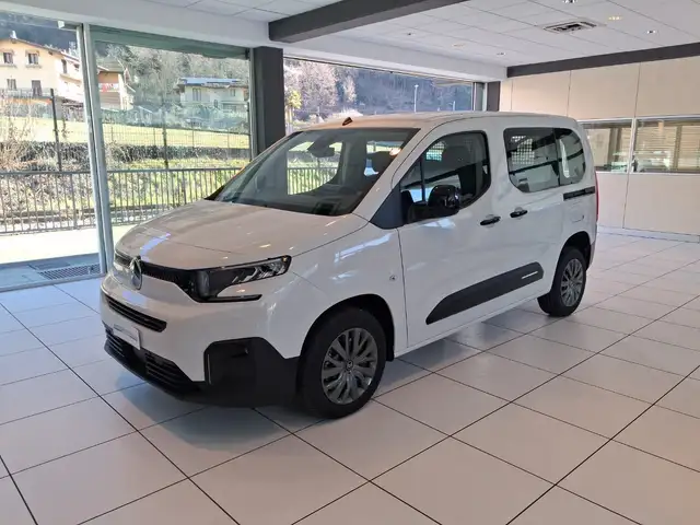 Citroen Berlingo Berlingo BlueHDi 100 S&S M Plus