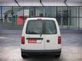 Volkswagen Caddy PKW 2.0 TDI Trendline AHK+BEHINDERTEN-UMBAU Blanco - thumbnail 7