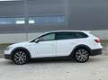 SEAT Leon ST X-Perience 2,0 TDI DSG 4Drive Weiß - thumbnail 11