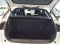 DS Automobiles DS 3 Crossback BlueHDi 81 kW Manual SO CHIC Blanco - thumbnail 17