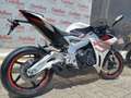 Zontes Zontes 703 RR 2025 Bianco - thumbnail 11