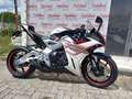 Zontes Zontes 703 RR 2025 Bianco - thumbnail 5